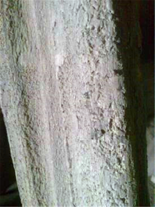 浙江XX環(huán)保股份有限公司布袋清灰節(jié)能